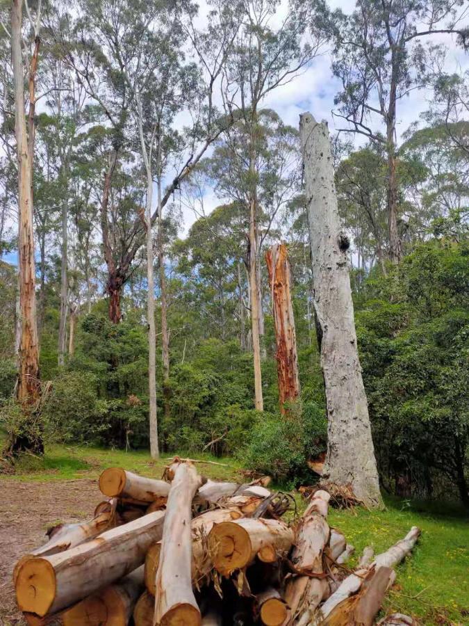 Lakes Entrance Log Cabins Exteriér fotografie
